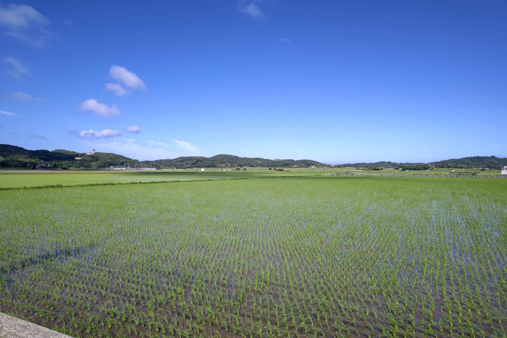 壱岐市議会議員　植村けいじ　活動報告