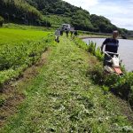 トレッキングコースの草刈り