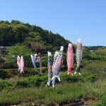 何度見ても気持ちいい鯉のぼり